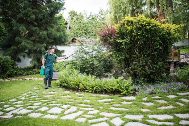 Best Local Pest Control Services  in Tawas City, MI