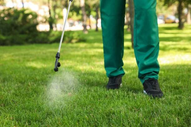 Best Cockroach Control Services  in Tawas City, MI