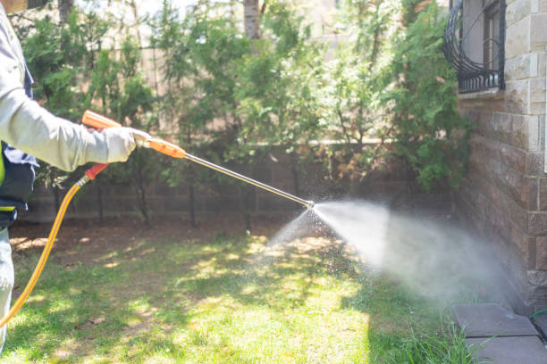 Flea Control Services in Tawas City, MI
