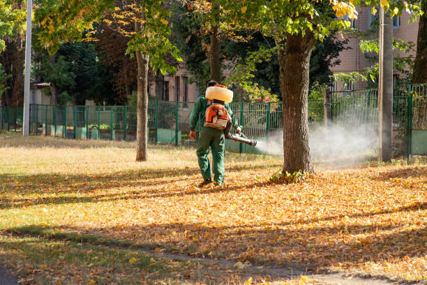 Best Affordable Pest Control Services  in Tawas City, MI
