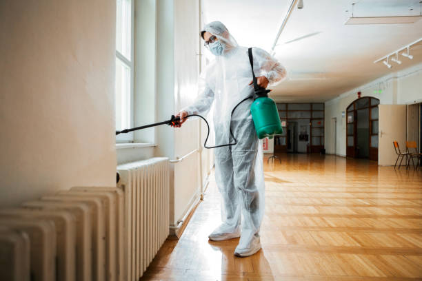 Best Wasp Removal Services  in Tawas City, MI