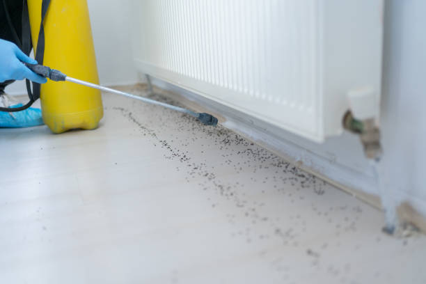 Best Residential Pest Control  in Tawas City, MI