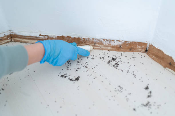 Best Pest Removal Services  in Tawas City, MI