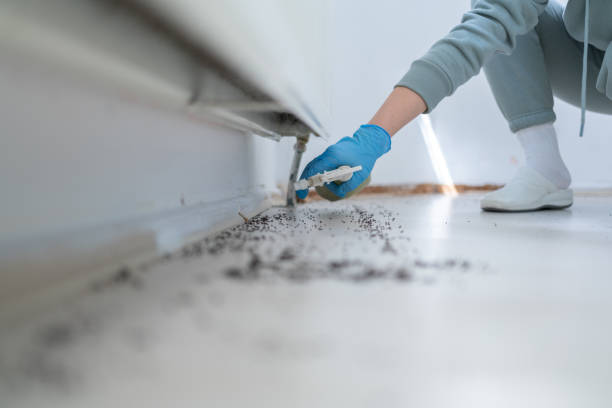Best Pest Prevention Services  in Tawas City, MI